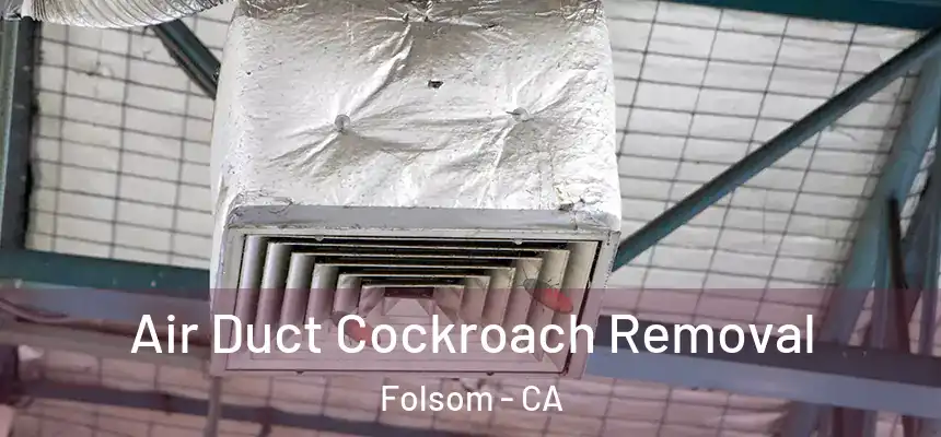Air Duct Cockroach Removal Folsom - CA