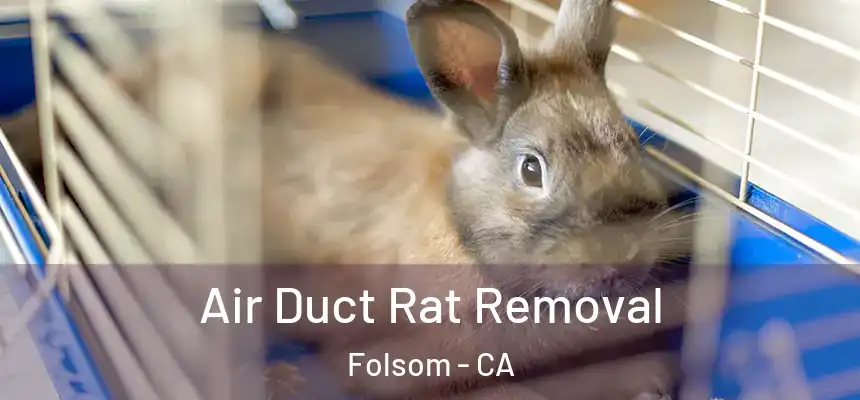 Air Duct Rat Removal Folsom - CA