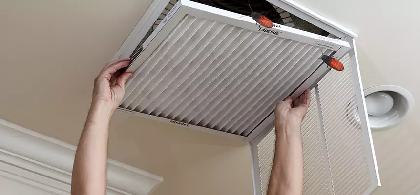 Preventive Cockroach-Proofing for Ducts in Folsom