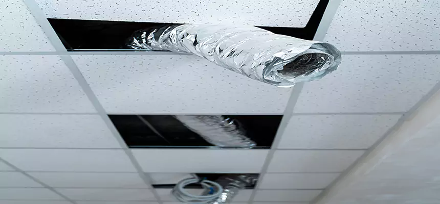 Affordable HVAC Sanitizing After Pest Removal in Folsom