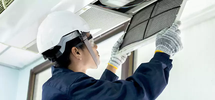 Our Mold & Mildew Removal from Air Ducts Services in Folsom, CA