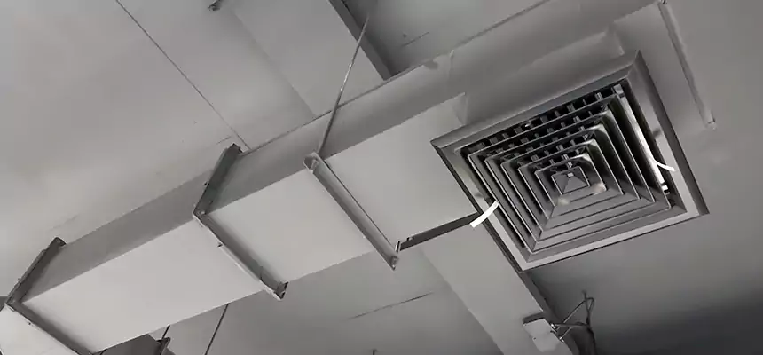 Our Rodent Droppings In Vents Services in Folsom, CA