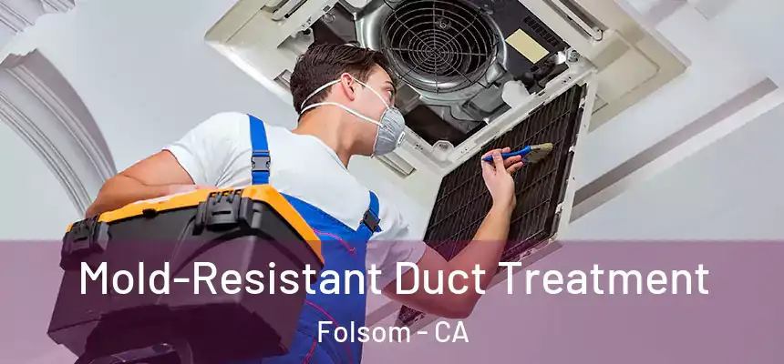  Mold-Resistant Duct Treatment Folsom - CA