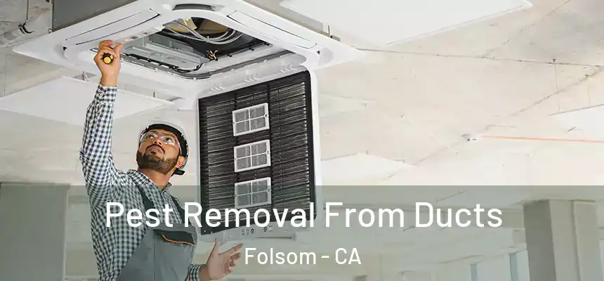 Pest Removal From Ducts Folsom - CA