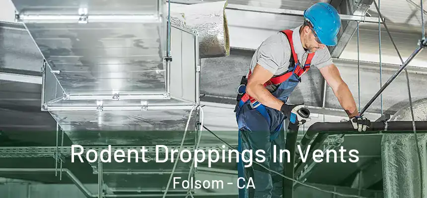 Rodent Droppings In Vents Folsom - CA