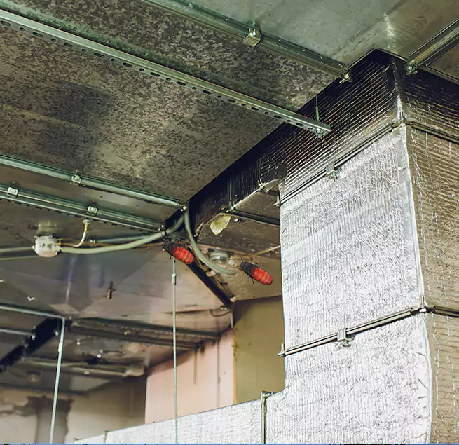 Why Homeowners & Businesses Trust Us in Folsom, CA?