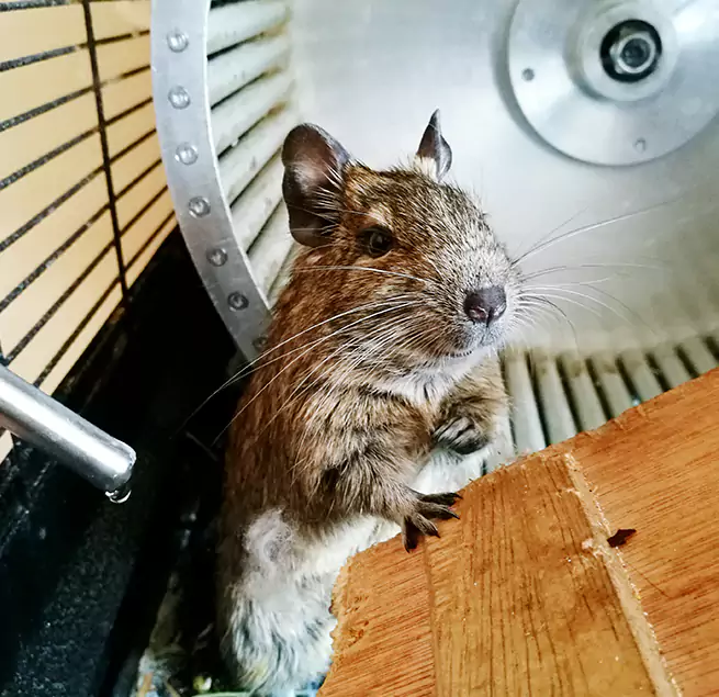 Why Homeowners & Businesses Trust Us Folsom, CA