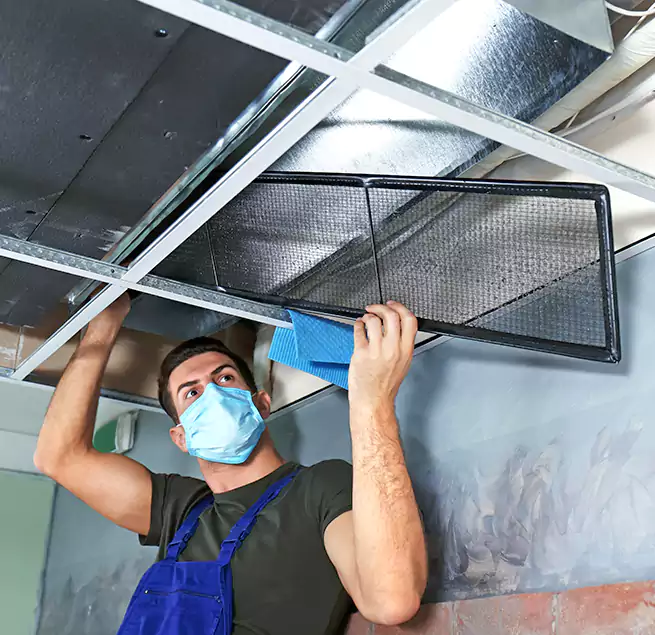 Why Homeowners Businesses Trust Us in Folsom, CA