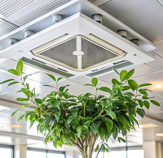 Why Homeowners & Businesses Trust Us in Folsom, CA